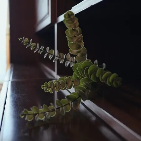 Apartman Back In Time Várna