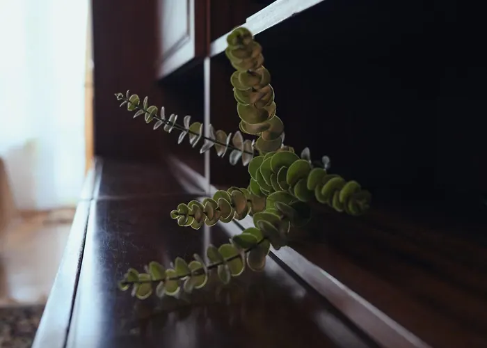 Apartman Back In Time Várna